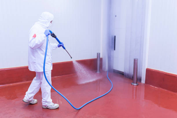 Best Dumpster Area Cleaning  in Woodbridge, VA